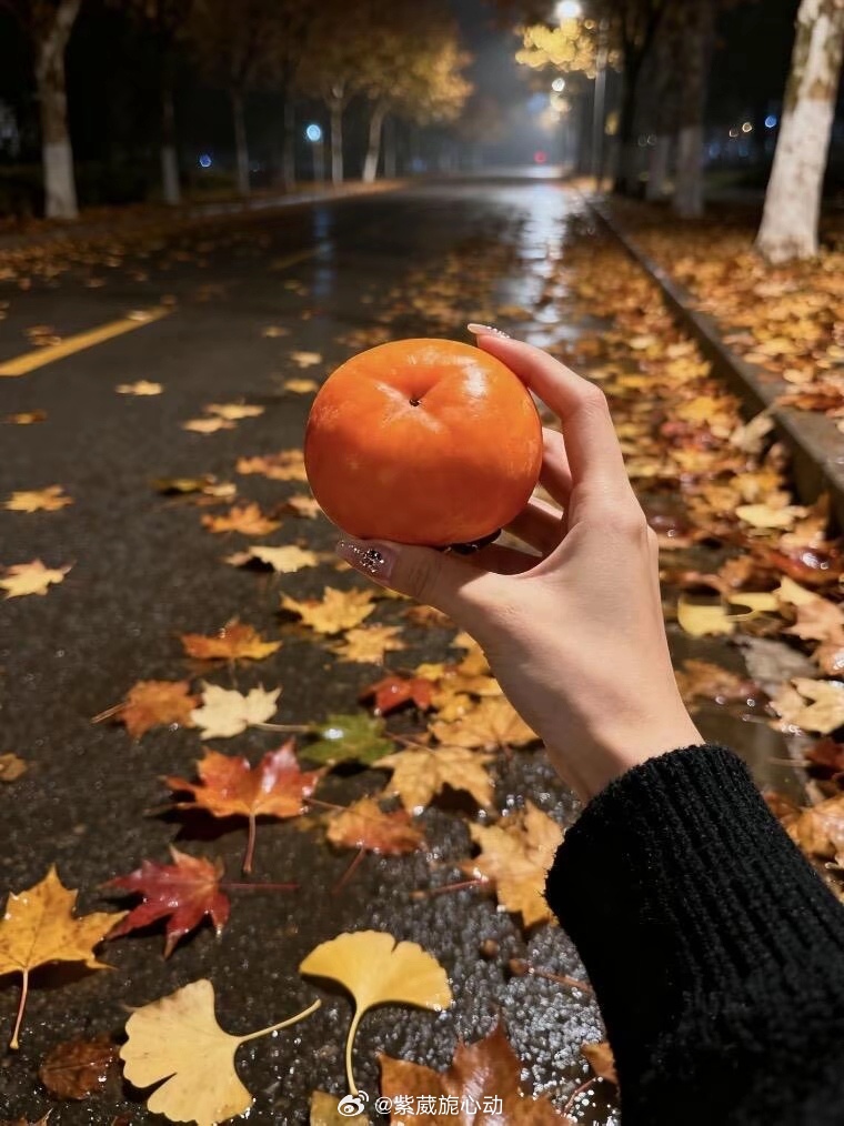 落叶知秋 寒霜初降 天地寒凉 。霜降 秋天的最后一站，愿你有人暖心，有衣暖身，一