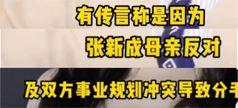 娱乐圈又一对谈了7年的明星分手了！
近日，张新成和李兰迪被曝已分手，这两的“流程