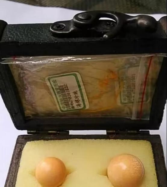 1995年，一位厨师在后厨处理海螺时，发现海螺肉中有两颗结石，厨师觉得好看，就随