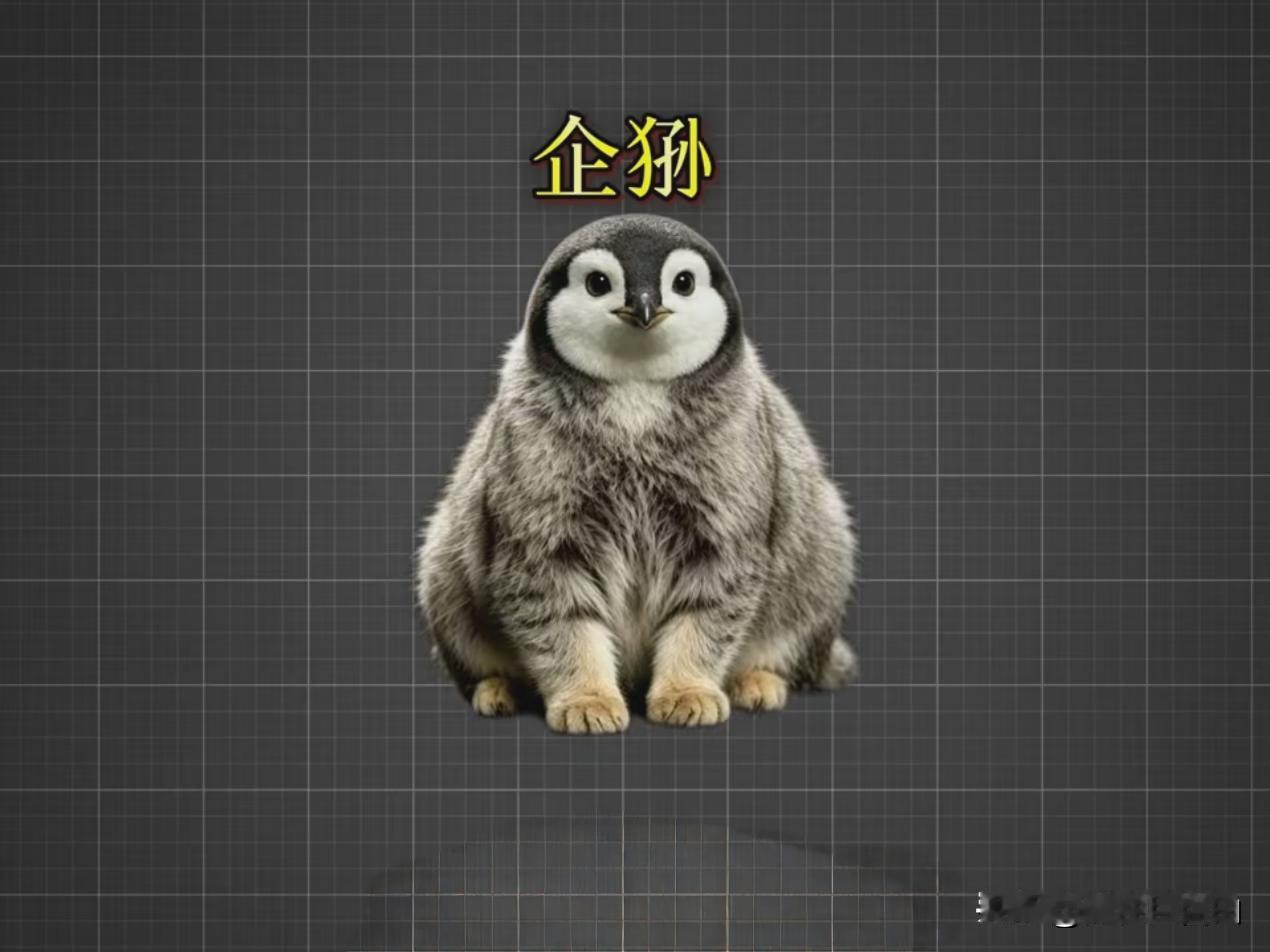 我们经常说，中华四大神兽，青龙，白虎，朱雀，玄武。
你们我们河南，中原四大神兽们