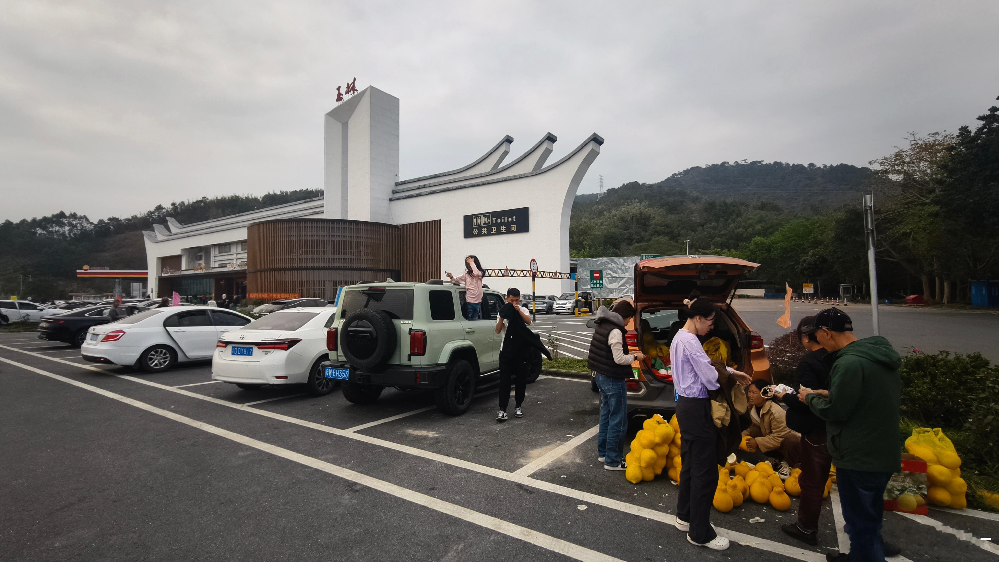 我们今天进入广西，初二多人逛亲戚还挺堵的，不亚于春节往返高峰，有好几个服务区都要