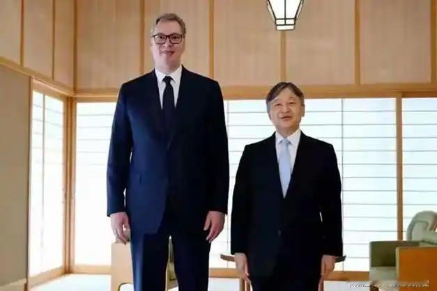 武契奇，给中国，上了最深刻的一课！他用行动告诉我们：真正的国家生存之道，不是把鸡