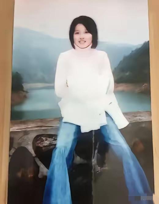 2004年，福建一名女大学生蔡伟娟神秘失踪，她的富豪父亲为找到女儿，不惜关掉生意