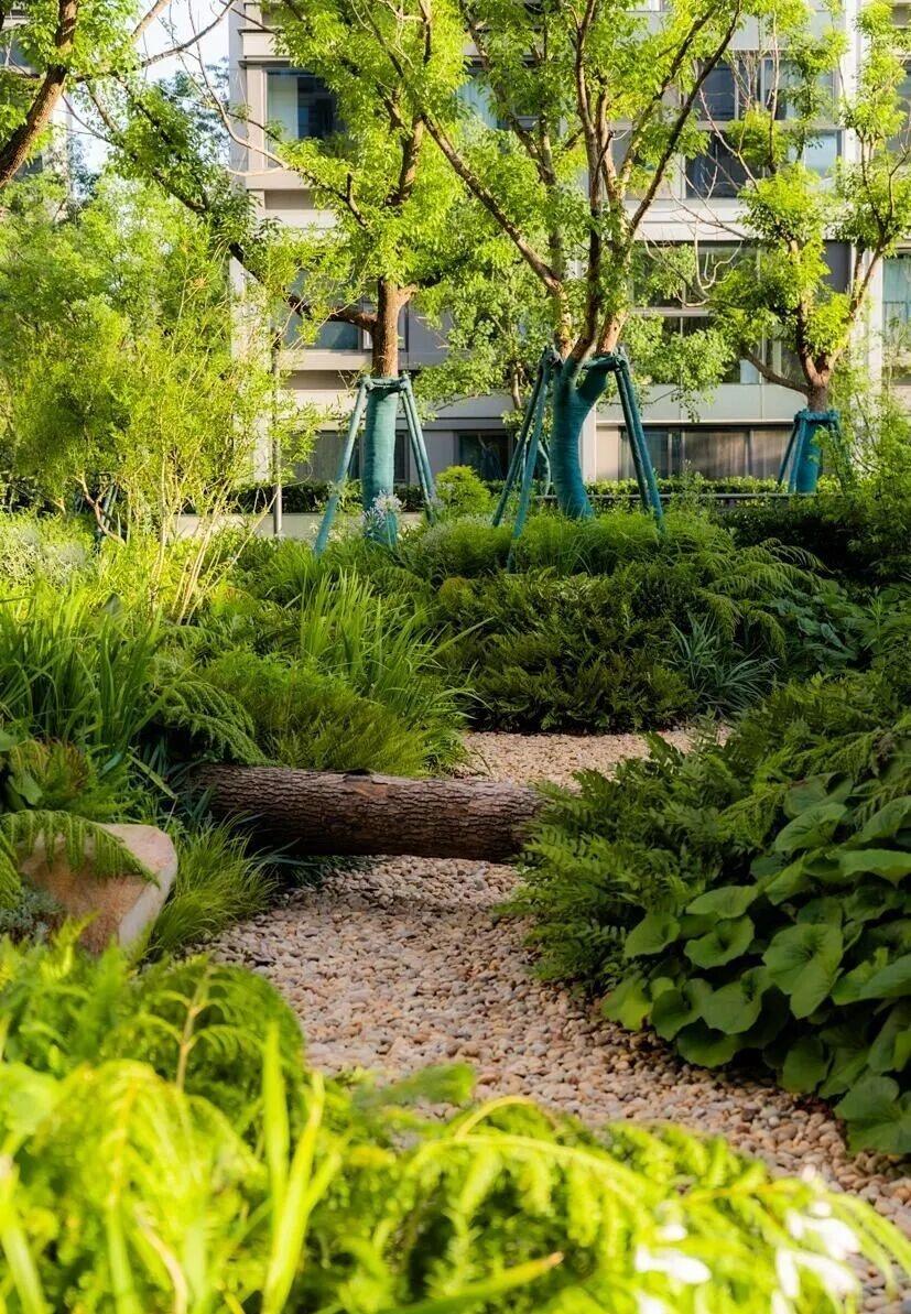 【社区“会呼吸”！“海绵城市”建设正改变居民生活】杨浦区严格落实建筑与小区海绵城