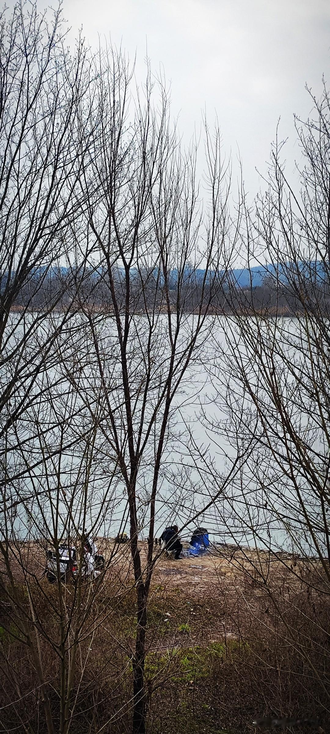 今年冬天的不同晌午出了片刻太阳，到了下午时分便是阴云漫天。还是去汉江边走走吧！运