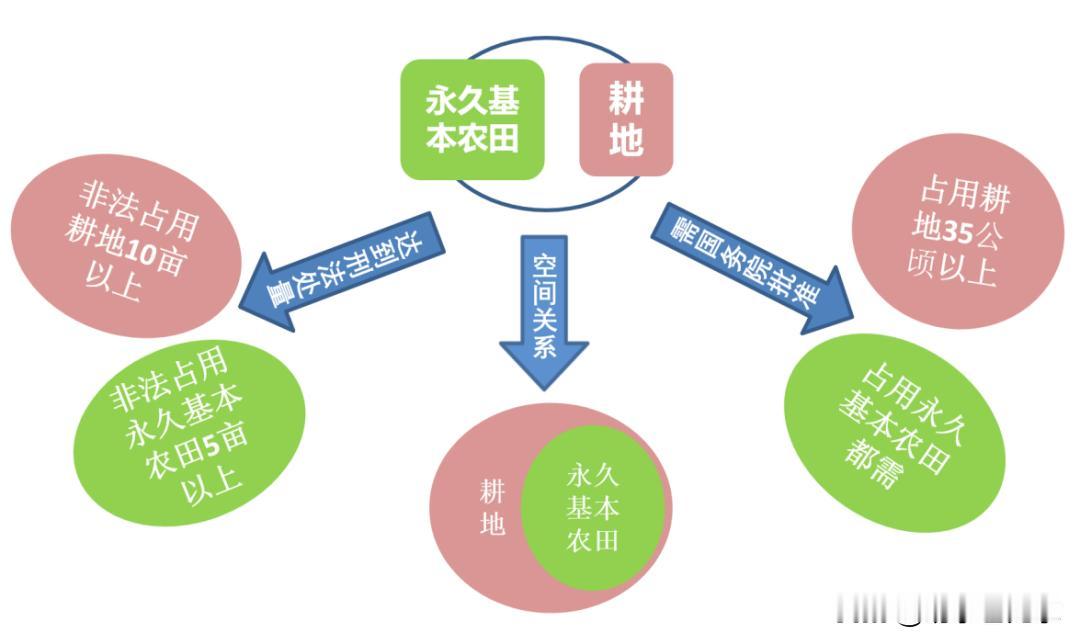 耕地、基本农田、永久基本农田什么关系？
1986年，首次提出保护耕地的基本国策。