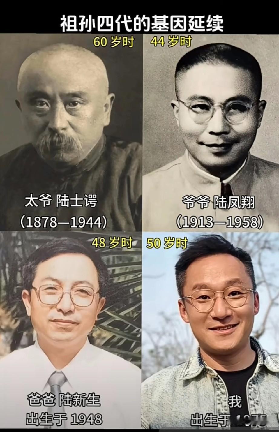 太爷辈能留照片的，家庭不一般
祖孙四代基因的延续，上海青浦陆家的血脉一直在延续，