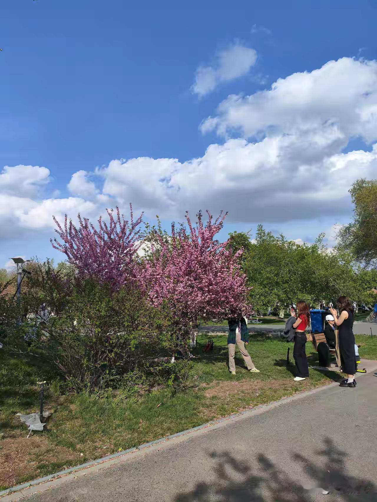外出游玩，是跟团游还是自由行，几个出发新疆的姐妹意见有分歧了，婆说婆有理公说公有