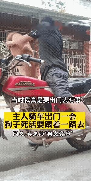 它:今天你出门，就得带上我。不然，你走不了，俺跟定了。
男子:“赖皮狗”了不是？