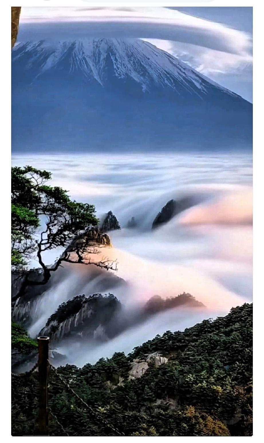 你知道中国股市最狠的那个人，留给散户的最后一句话是什么吗？

宁波涨停板敢死队总