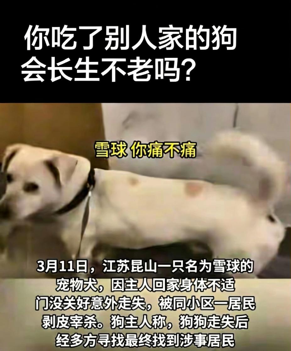 2026年3月11日，江苏昆山，一女子因家门未关好，家中狗狗跑出门后，竟被邻居老