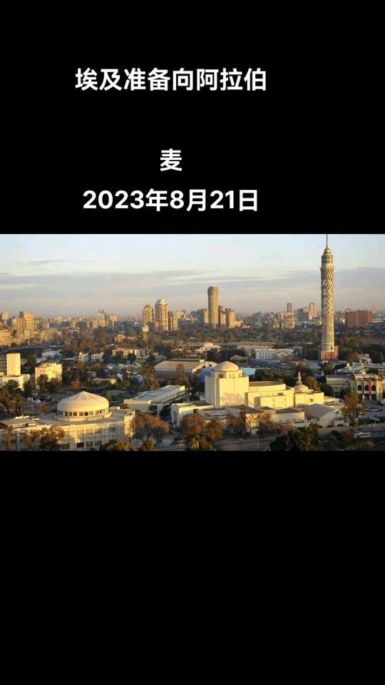 俄罗斯卫星通讯社多哈8月21日电 据埃及供应部商品供应总局证实，如果莫斯科在苏伊