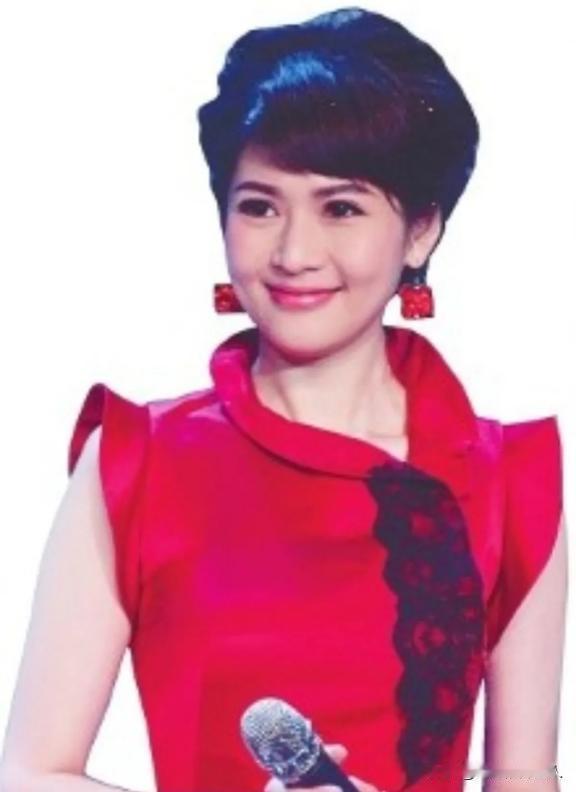 2013年，歌手陈红的富商老公李军，深夜闯入美女主持人沈星家里，看到她床上躺着一