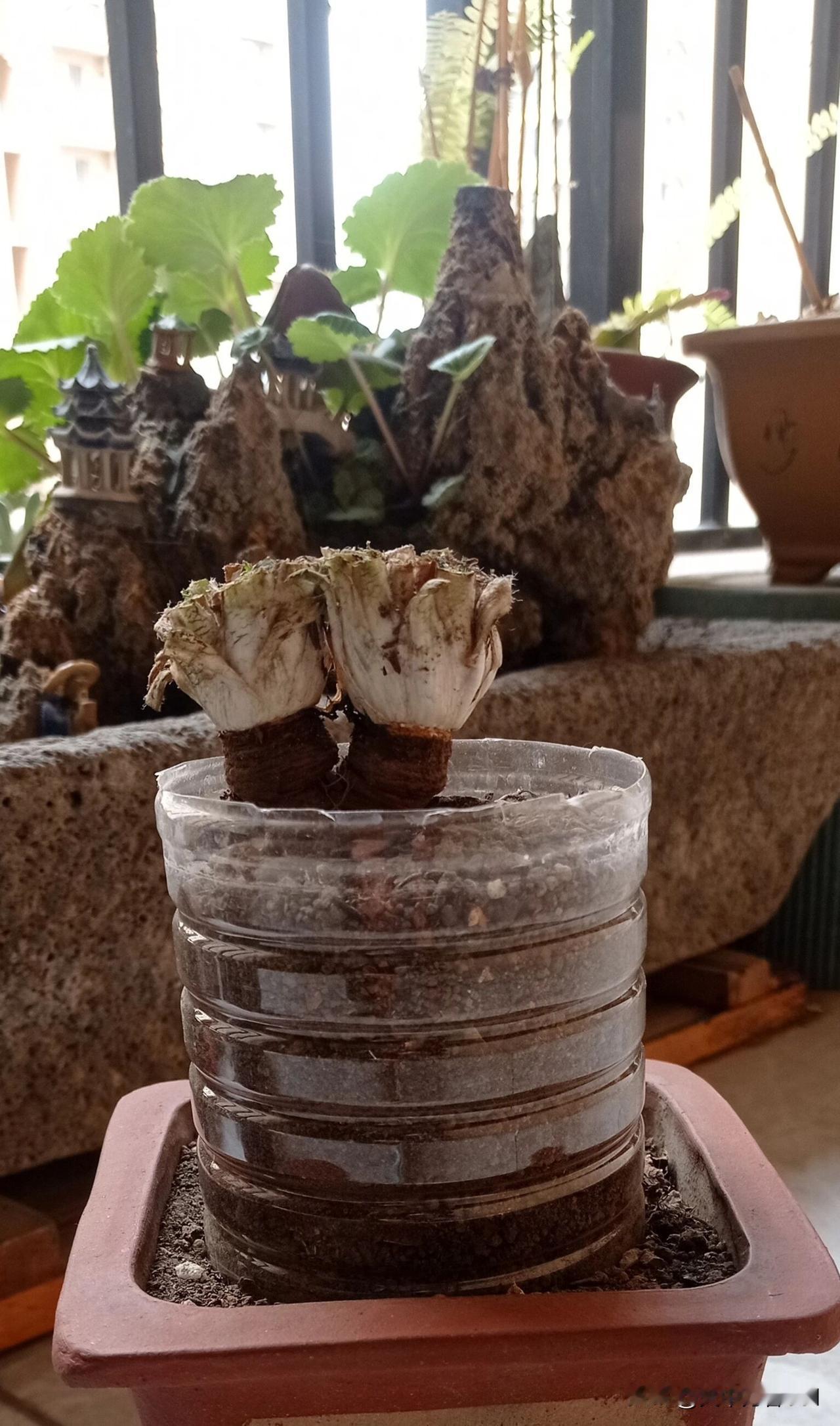 春日生活打卡季红色教育基地，