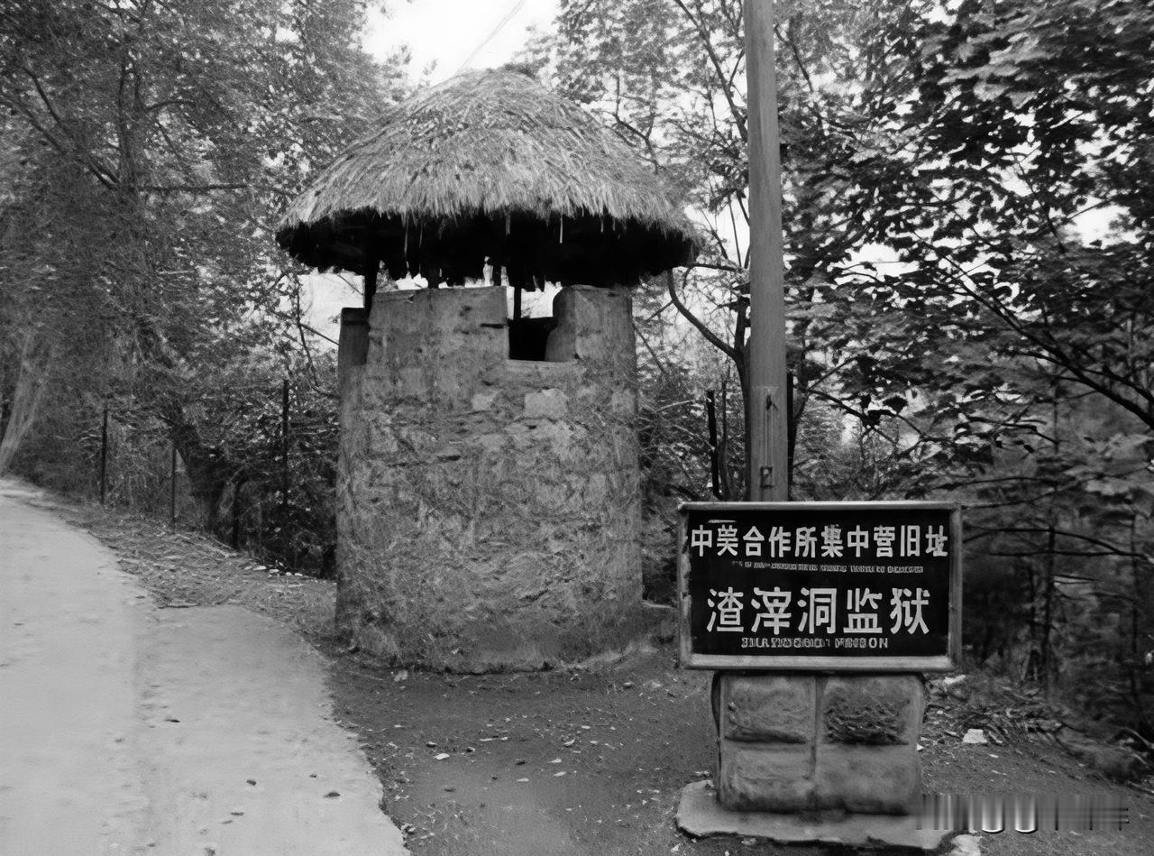 我真心提个建议：
等到祖国统一的那天，把所有的“台独分子”关在重庆的“渣滓洞”，