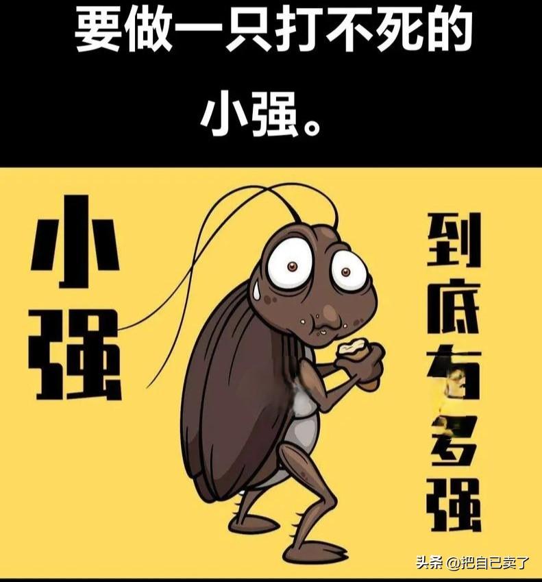 丙午马年，五十有六。
身负巨债，负重前行。
天道酬勤，自我救赎！

今天是丙午马