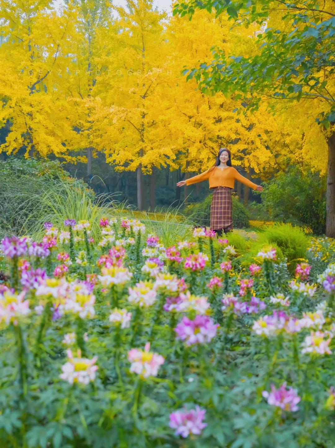 雾里看花，秋日莫奈花园的氛围感已拉满～