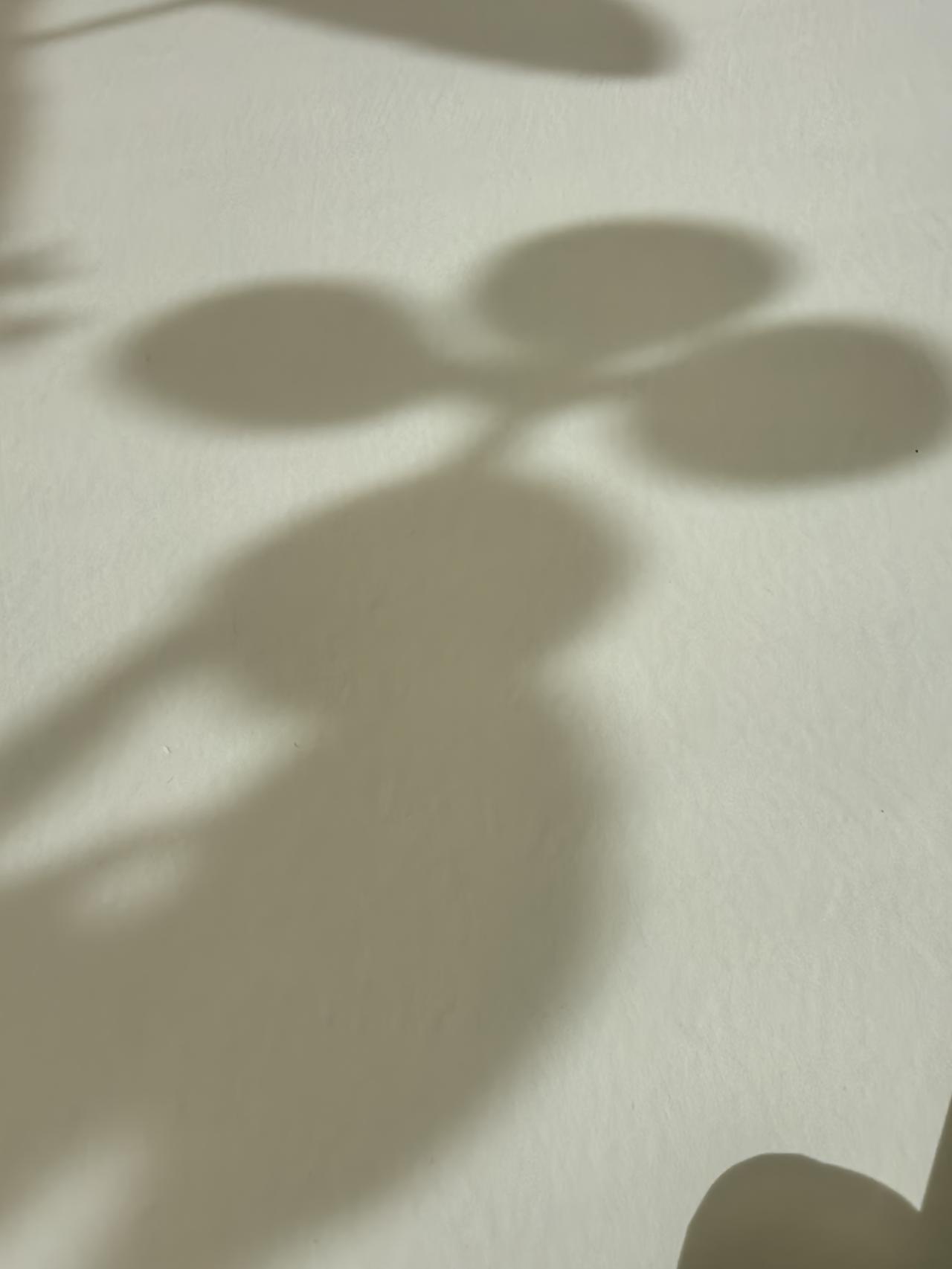 中国发现的“超级煤田”，占地面积接近台湾省，位置到底在哪里？

“超级煤田”，就