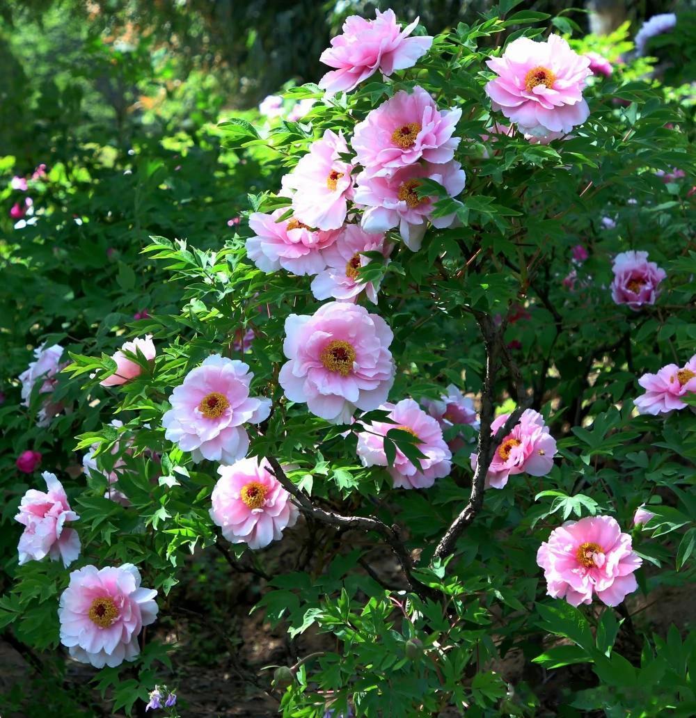 我的感觉是，年老了还是要找个合适的老伴，这样有个人陪，有说话的，不孤单不寂寞。身
