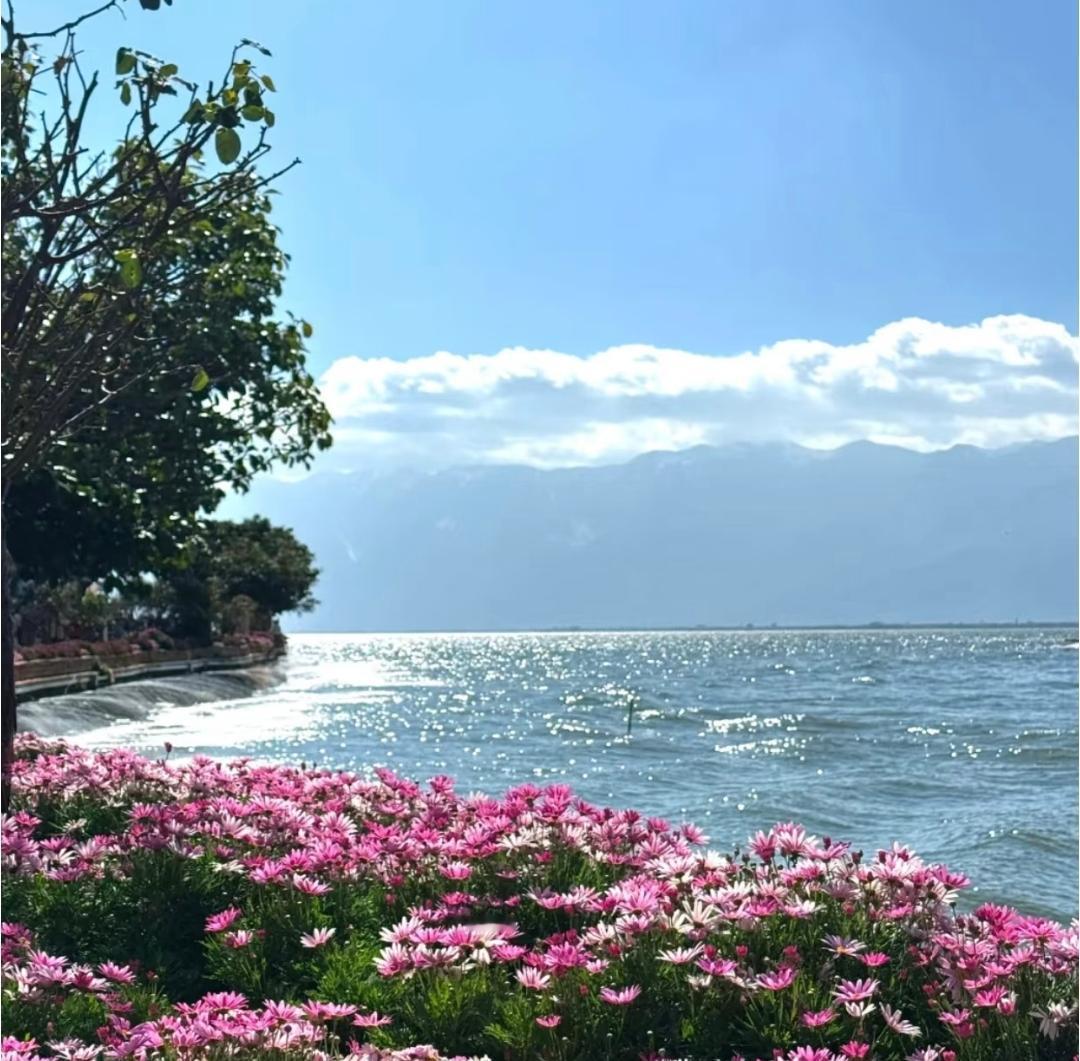 五一假期马上就到了，作为旅行爱好者，我早就和西安的几位朋友敲定了云南之行，今年出