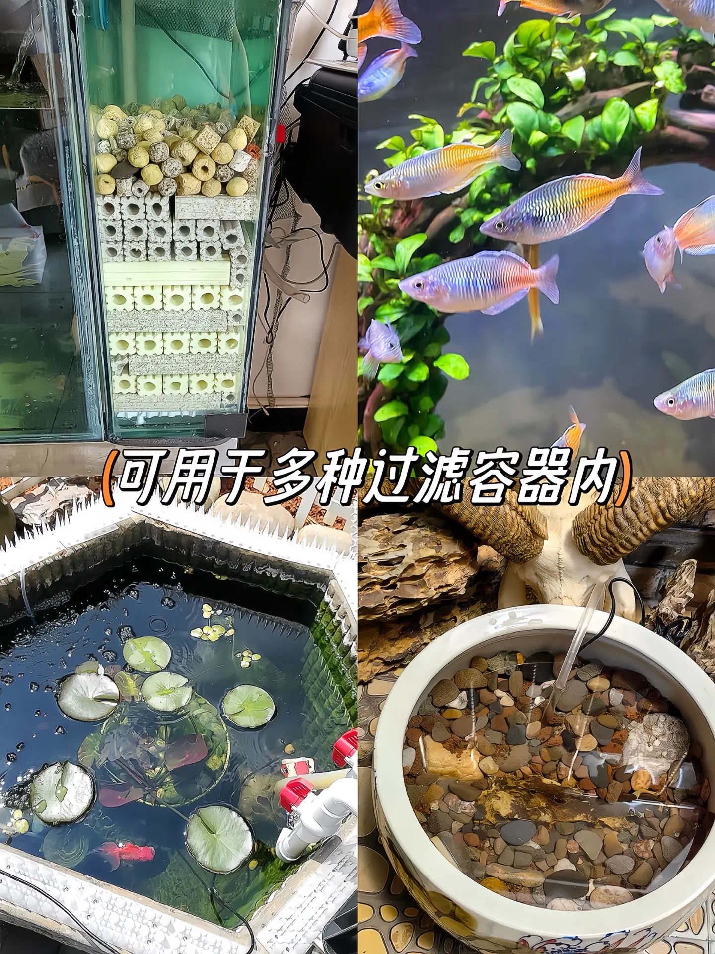 哥哥们，找到一款性价比超高的过滤材，5倍培菌不掉渣不粉化 高温烧制，水...