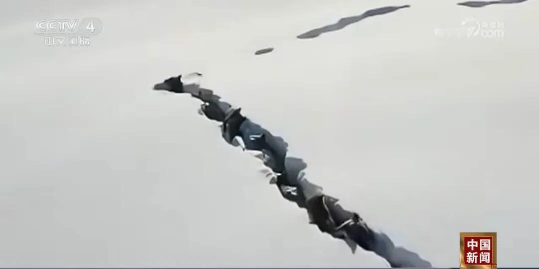 领导带头，小兵享受，人间少有。

在动物界当领导，要比人类当领导难得多。

新疆
