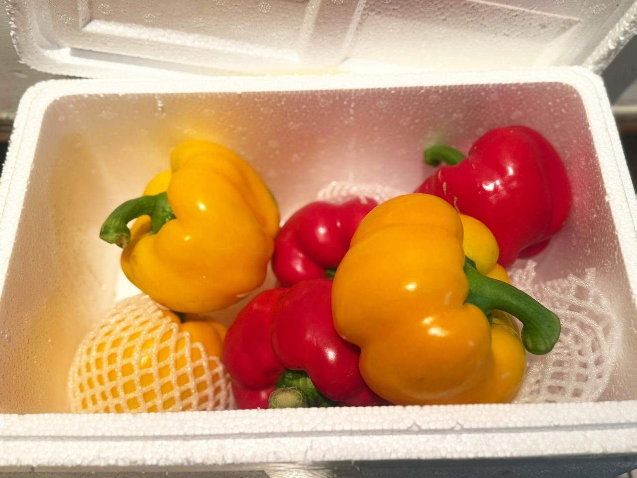 最近爱上了烤彩椒

刷到直播间的彩椒，标准的灯笼型，个个光亮如鲜，比我在盒马买的