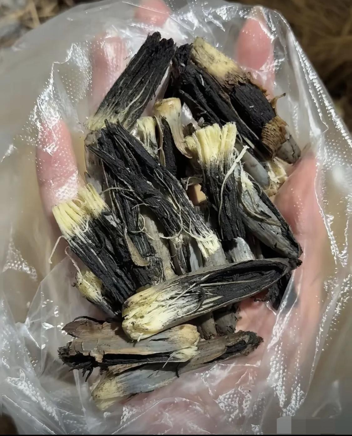 有没有见多识广的朋友认识这个？