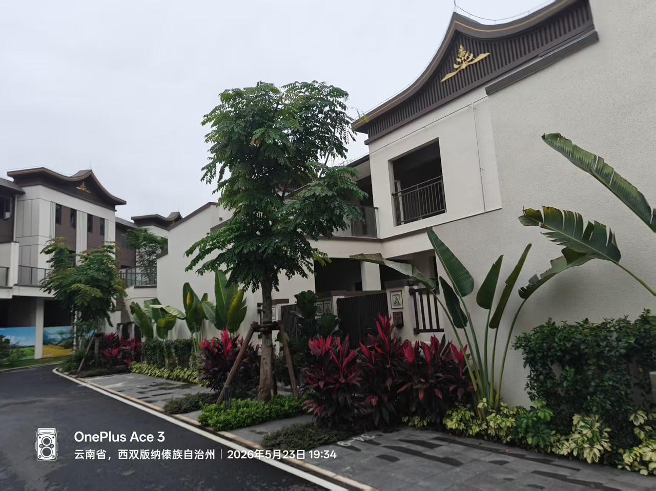 69岁鳏寡孤独高工退休老黄，前阵子经人介绍从勐海县雇过来一位44岁女人，做住家保
