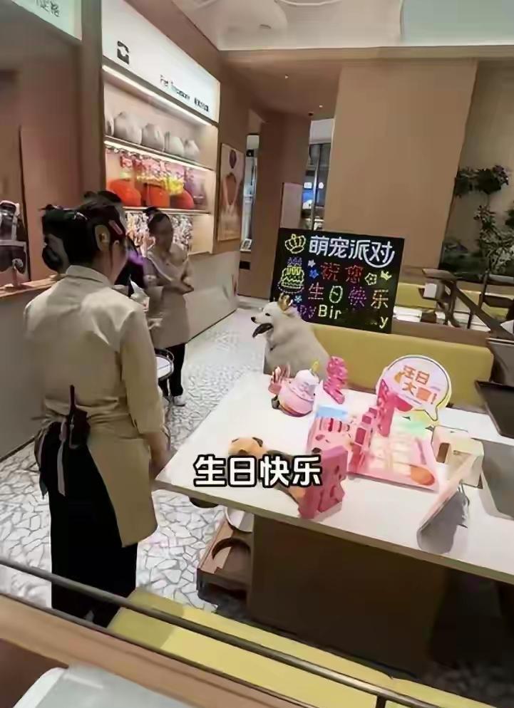 人到了中年，
最大的讽刺，
是活了半辈子，
还不如一条狗有仪式感。
 
昨天刷到