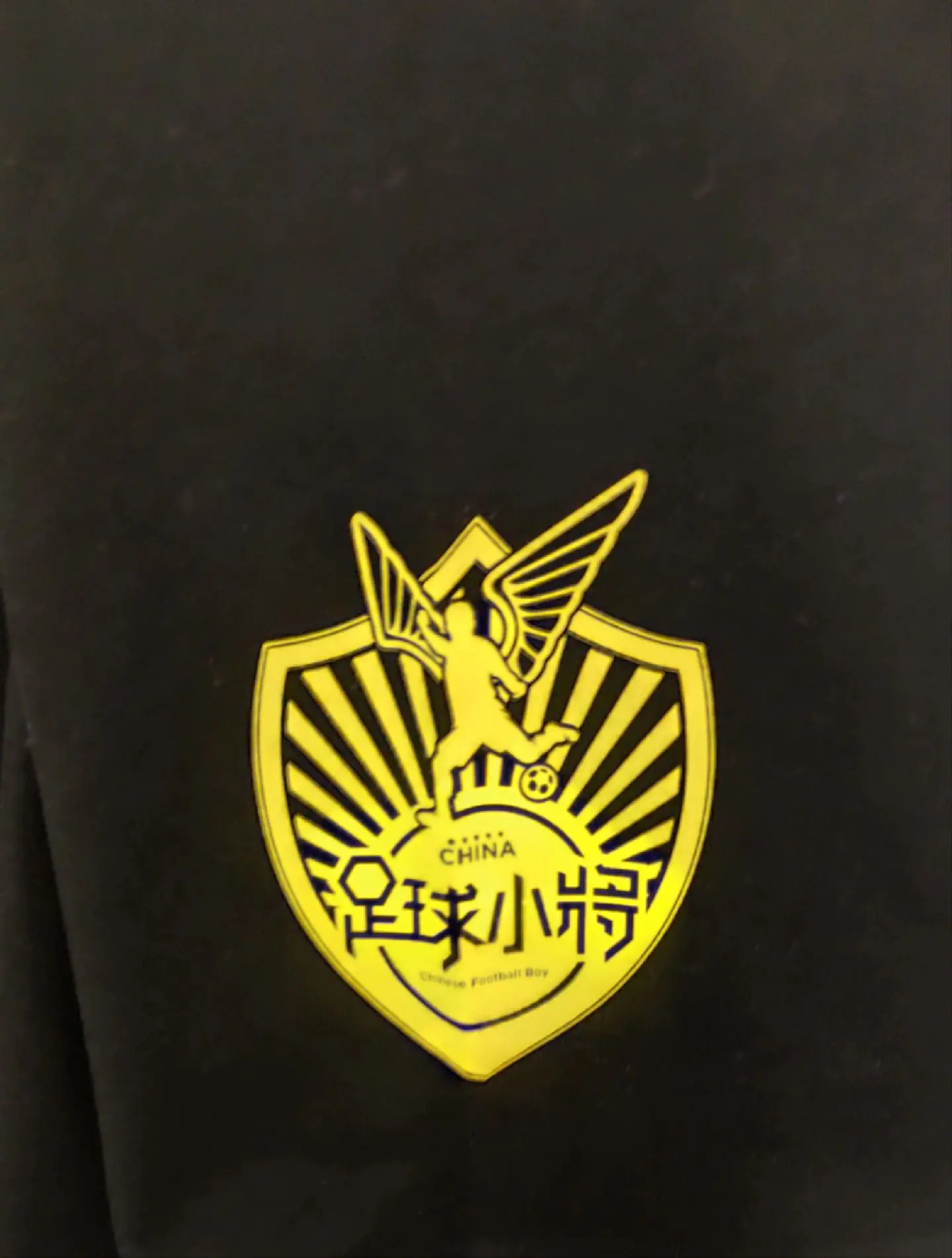 董的都董。T恤到货