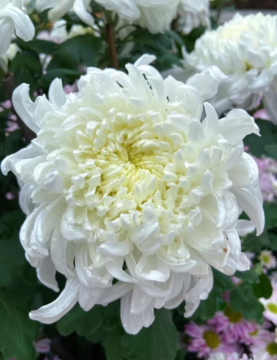 浙江一老兵去世最后的奉献令人泪目当战场硝烟散尽，他以另一种方式继续守护人民。从钢