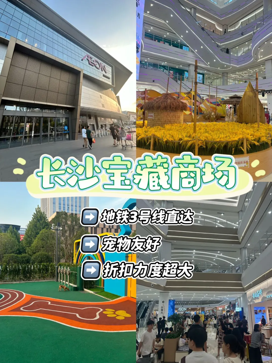 长沙宠物友好商场！各种概念店太好逛了☺
