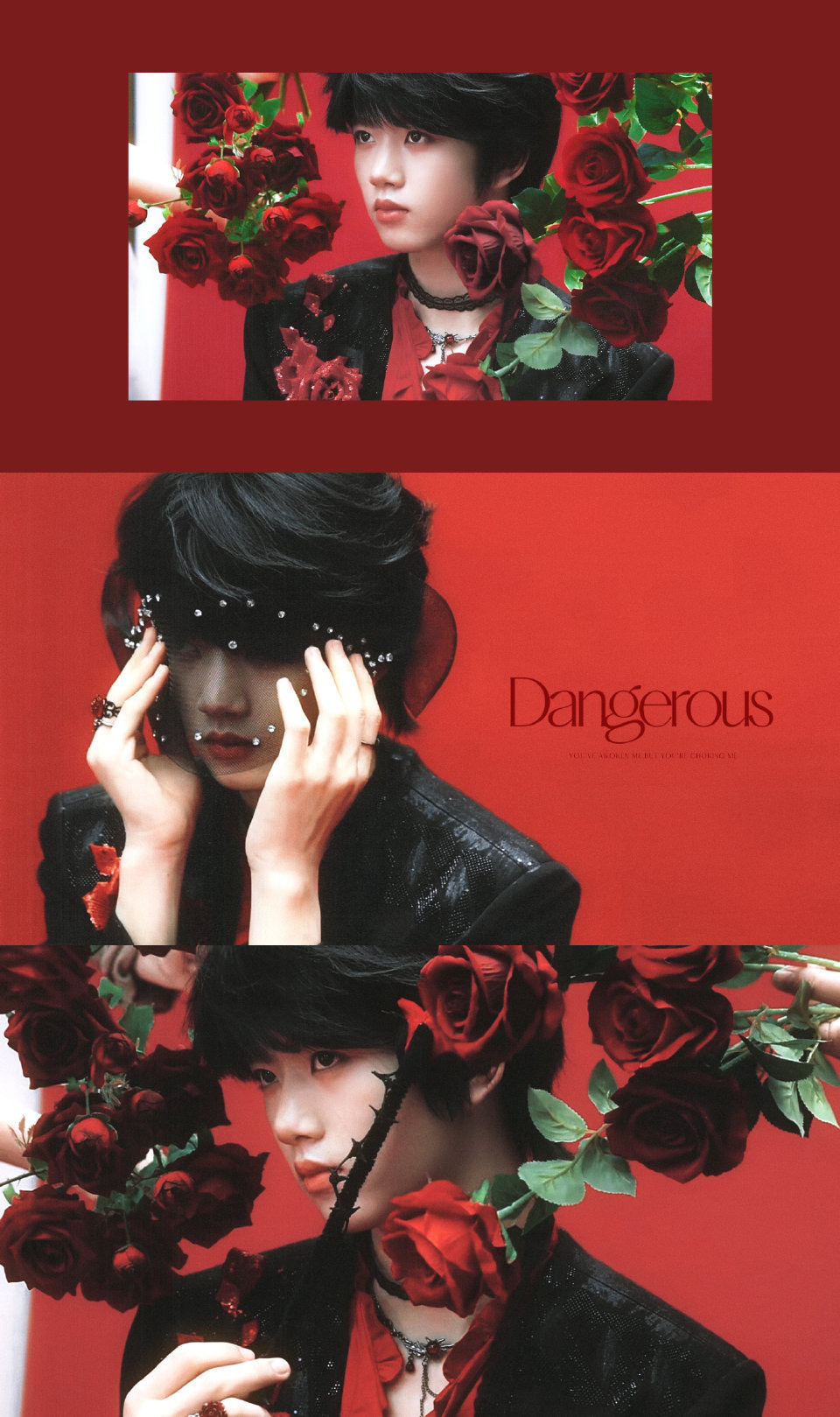 张函瑞奔跑四拍摄花絮 红玫瑰热烈绽放，少年感温柔纯粹🌹 优雅又干净，沉稳又亮眼