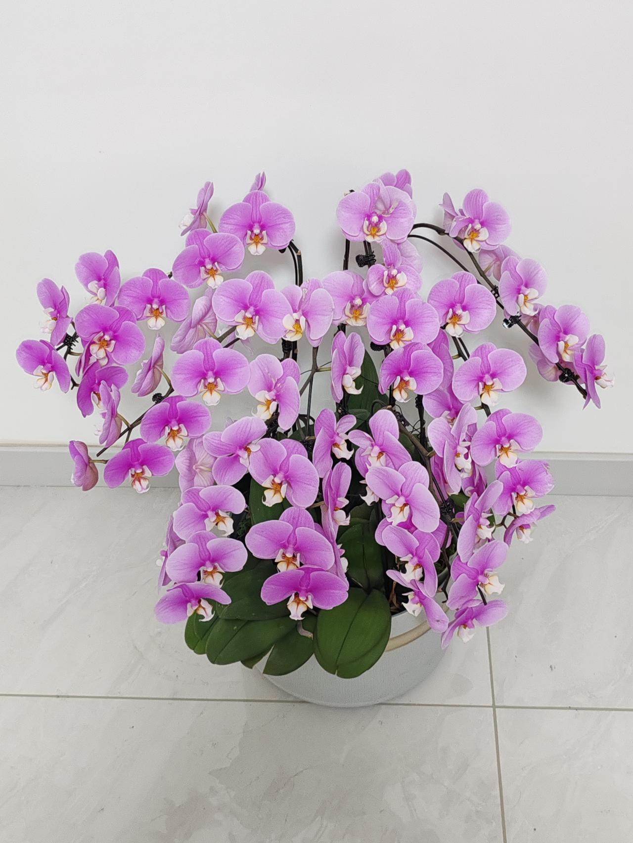 一年才回去一次，受点委屈、多干点活也没啥。不过我也不赞同你一个人干活。村里有些老