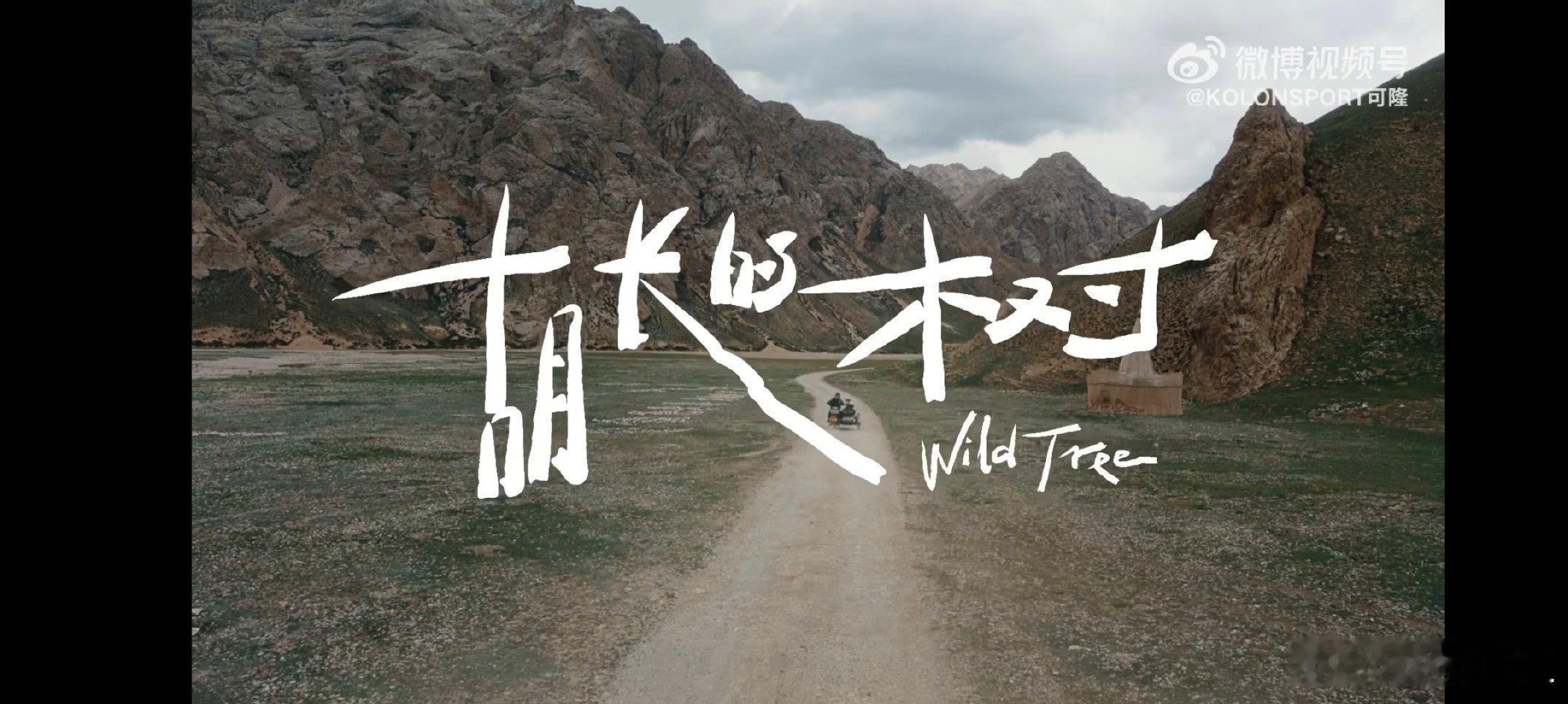 KOLONSPORT可隆 我曾是棵渴望自由生长的树苗，却在成长路上被无数双善意的