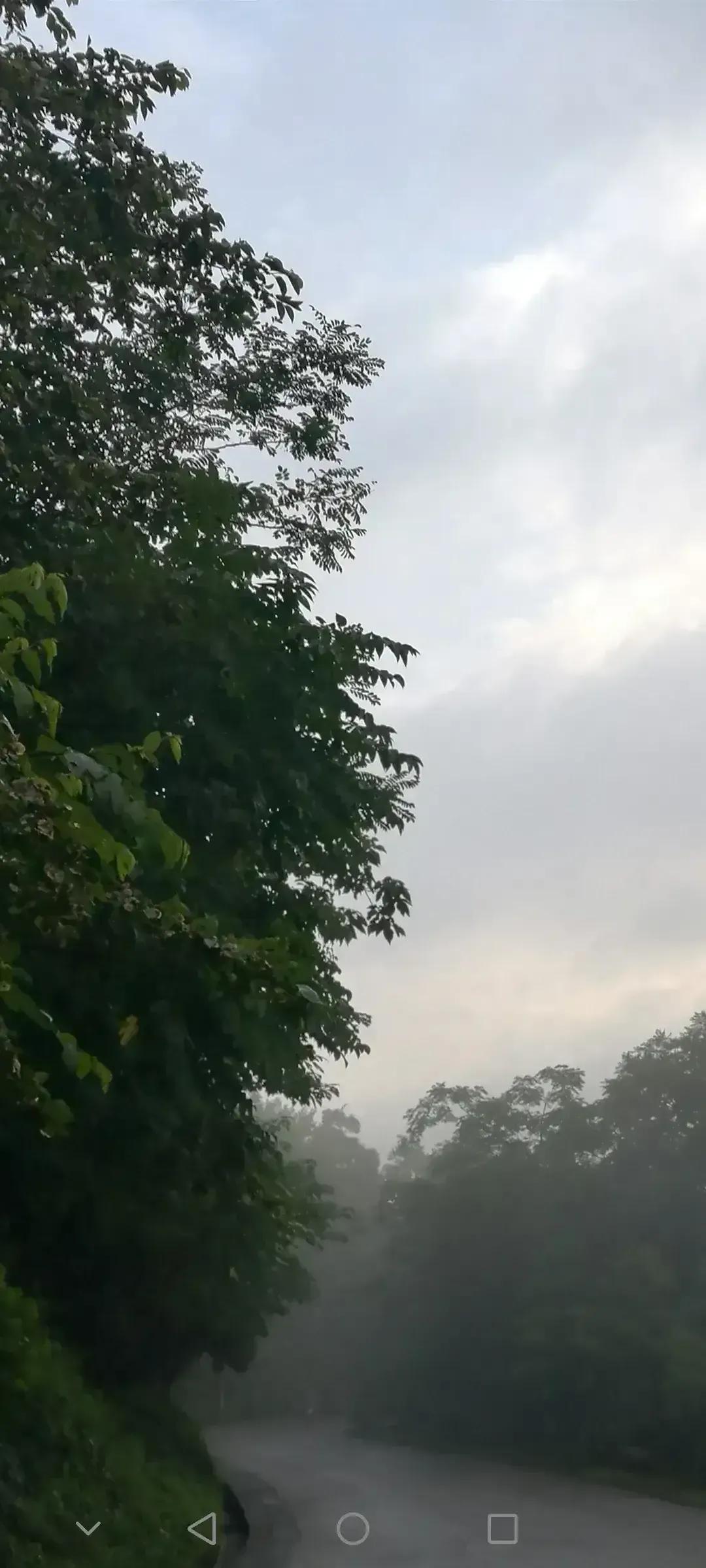 幕府山行
[微风][微风][微风]
东北西南路，
春夏秋冬行；
雨雪风霜过，
山