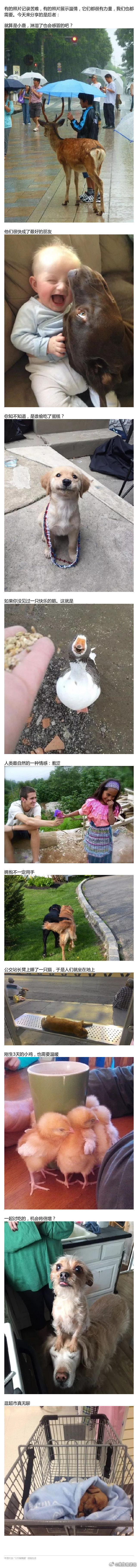 一组能让人微笑的照片，记录了我们这个世界最好的一面！ #镜头里的欢乐瞬间# ​​
