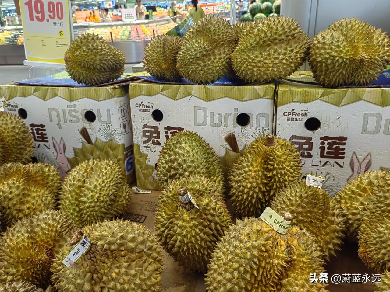 心有灵犀
昨天外甥女婧婧说来我来做客，我到超市去买菜，看到门口榴莲正在打折，19
