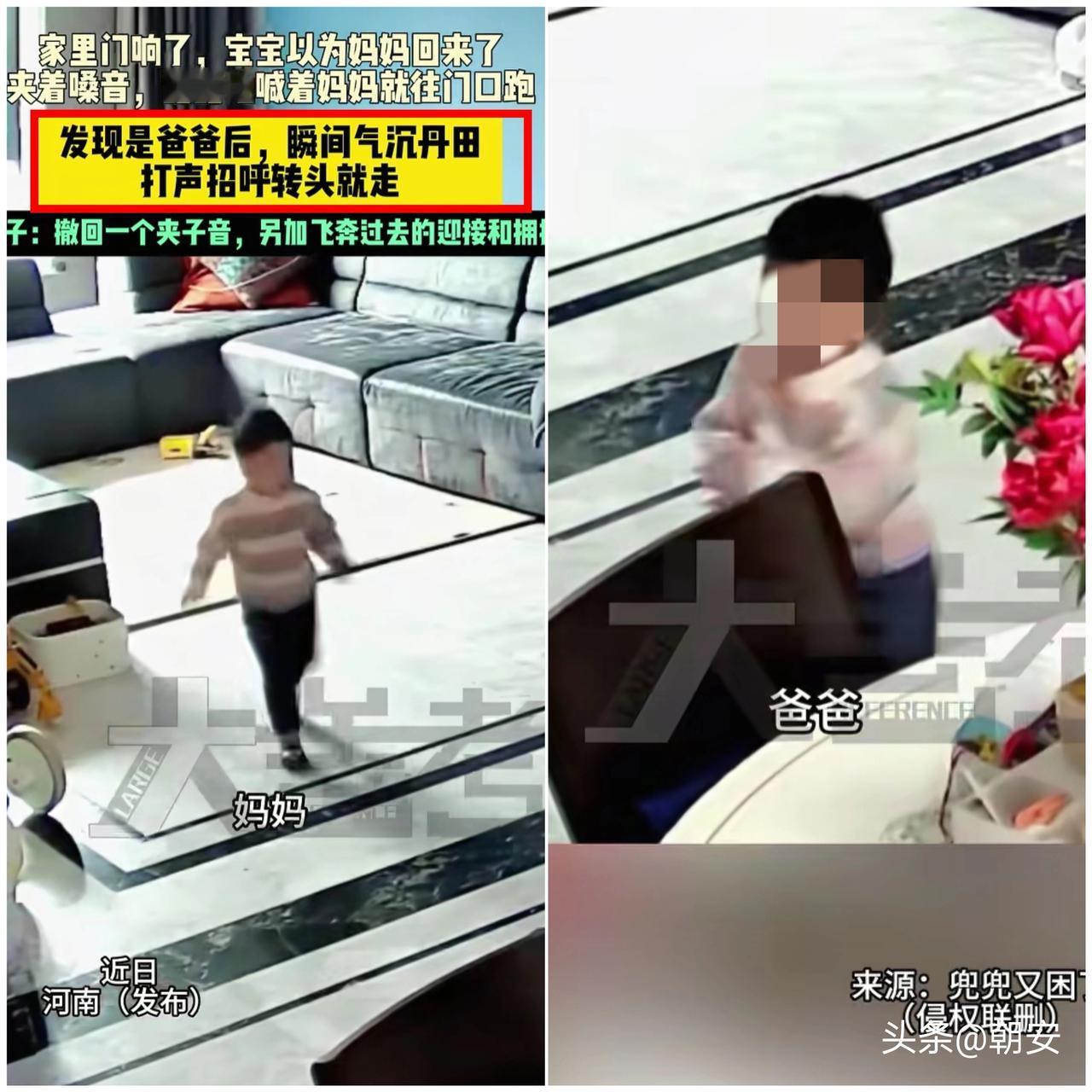 看完真的笑到停不下来！

河南宝宝听见开门声，立马迈着小短腿冲过去，甜糯夹子音喊