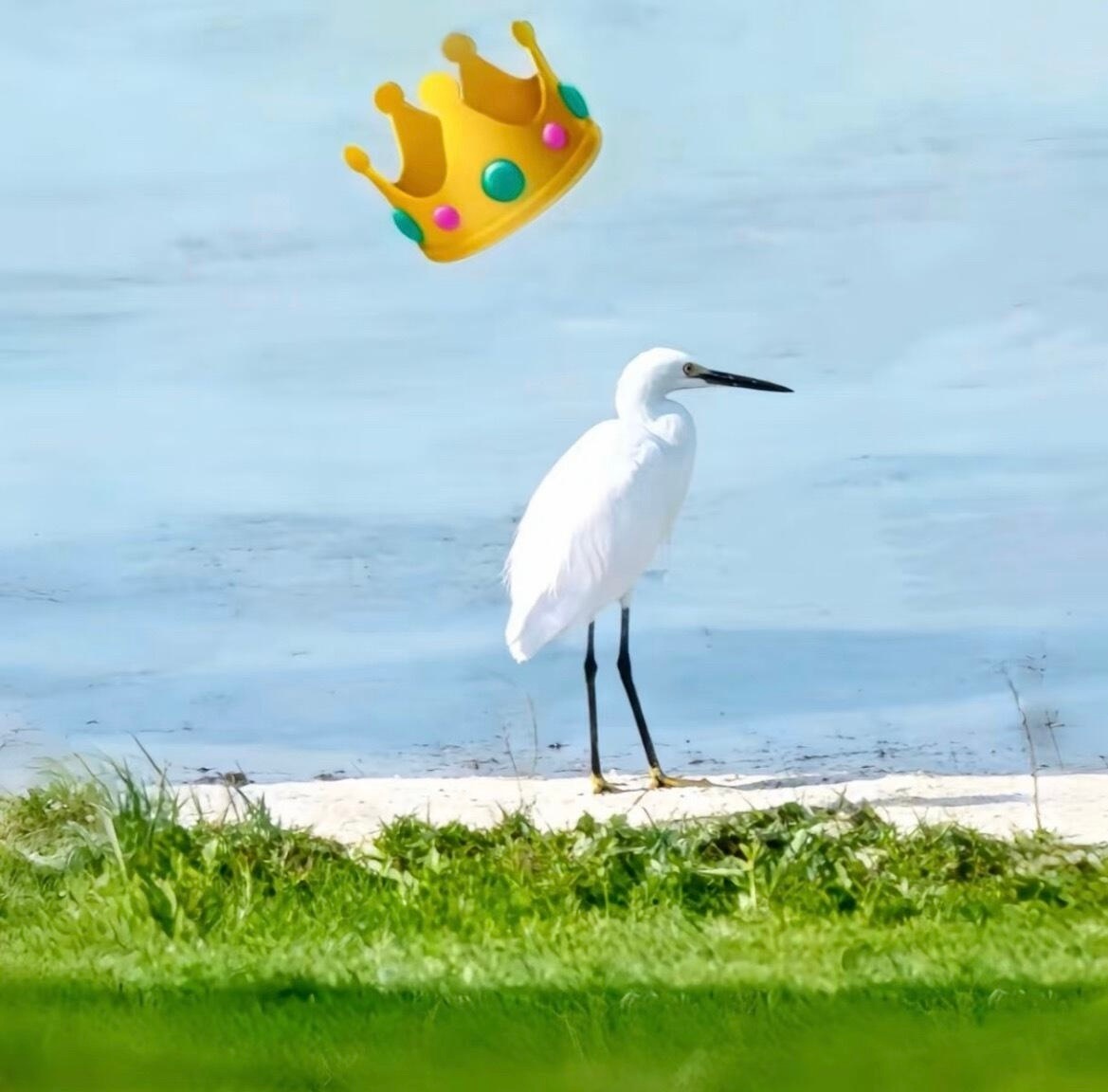 淇圈不明显头像🈶 