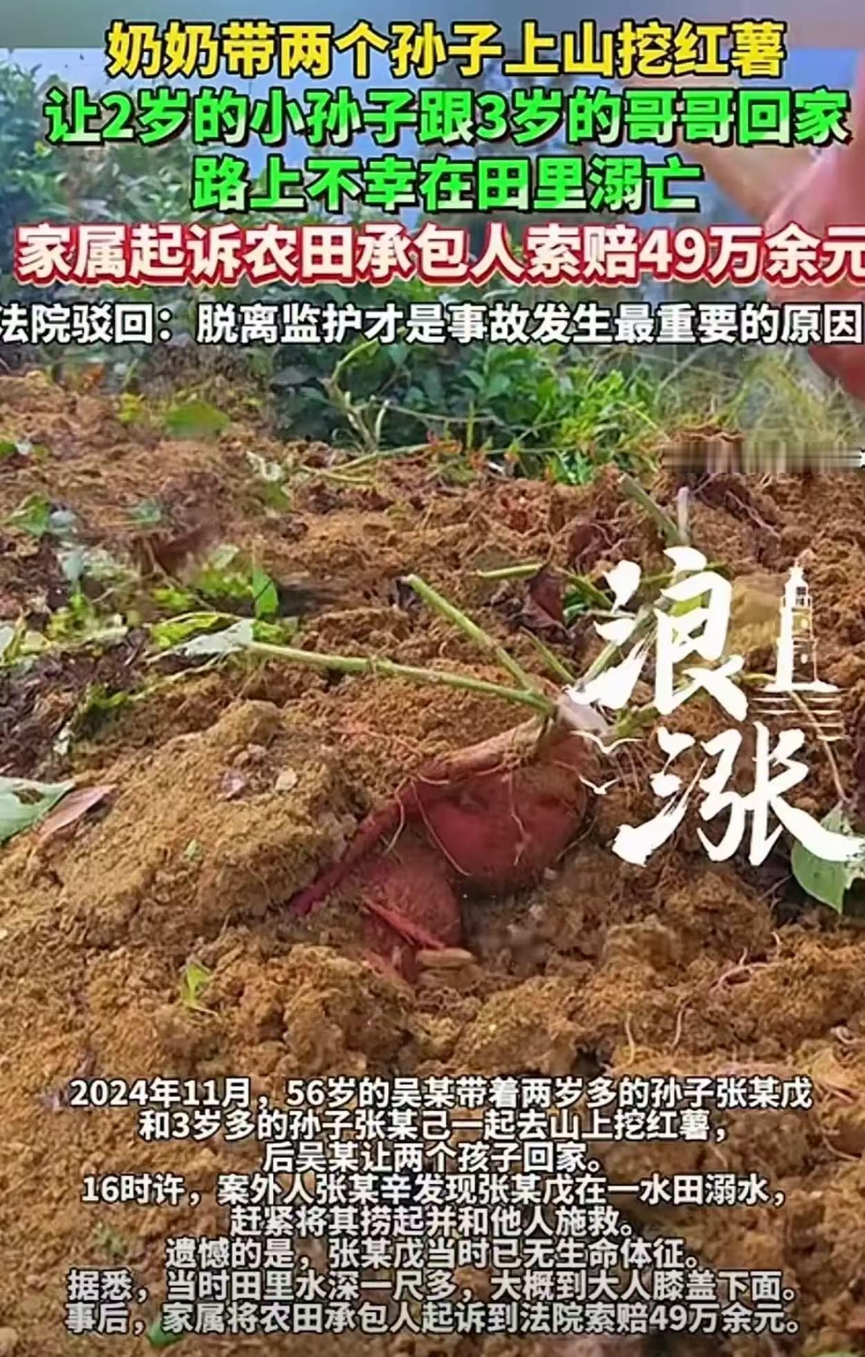 “讹人讹地讹空气！”56岁大妈，带着2个孙子上山挖红薯，挖到一半让3岁的哥哥带2