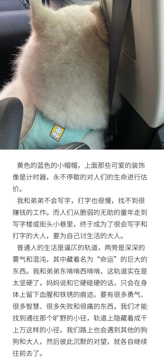 我们一起向雾气里走去