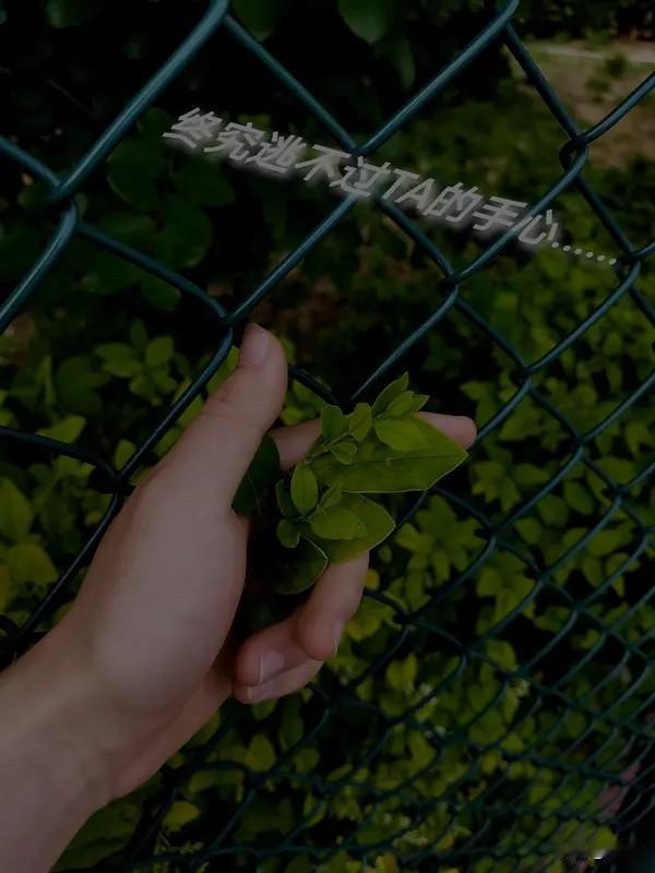 尘世向来喧嚣，是非纠葛如漫天飞絮，总有人试图用世俗的规则设局，用褒贬的言语定义他