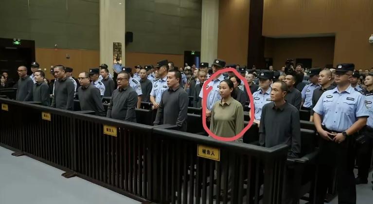 明珍珍站在法庭上，那张曾经娇艳的脸庞如今只剩一片死寂。29岁，本该是人生最好的年