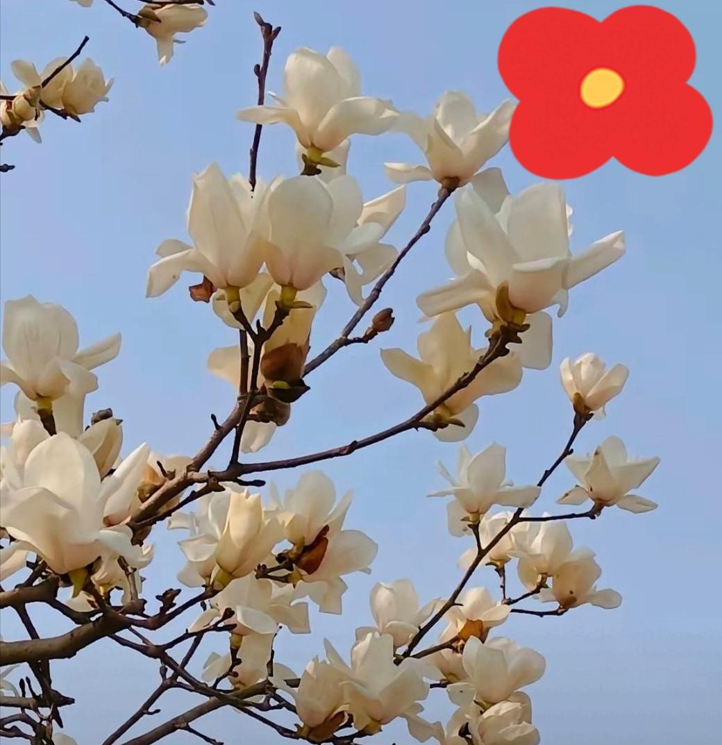 朋友的儿子谈了一个富家女，女孩子不但家境好，人也长得漂亮，但是有点盛气凌人，儿子