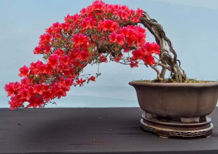 一位银行行长说：
别嫌利息少，我告诉你，这仅仅是个开始。二季度刚开头，2年期、3