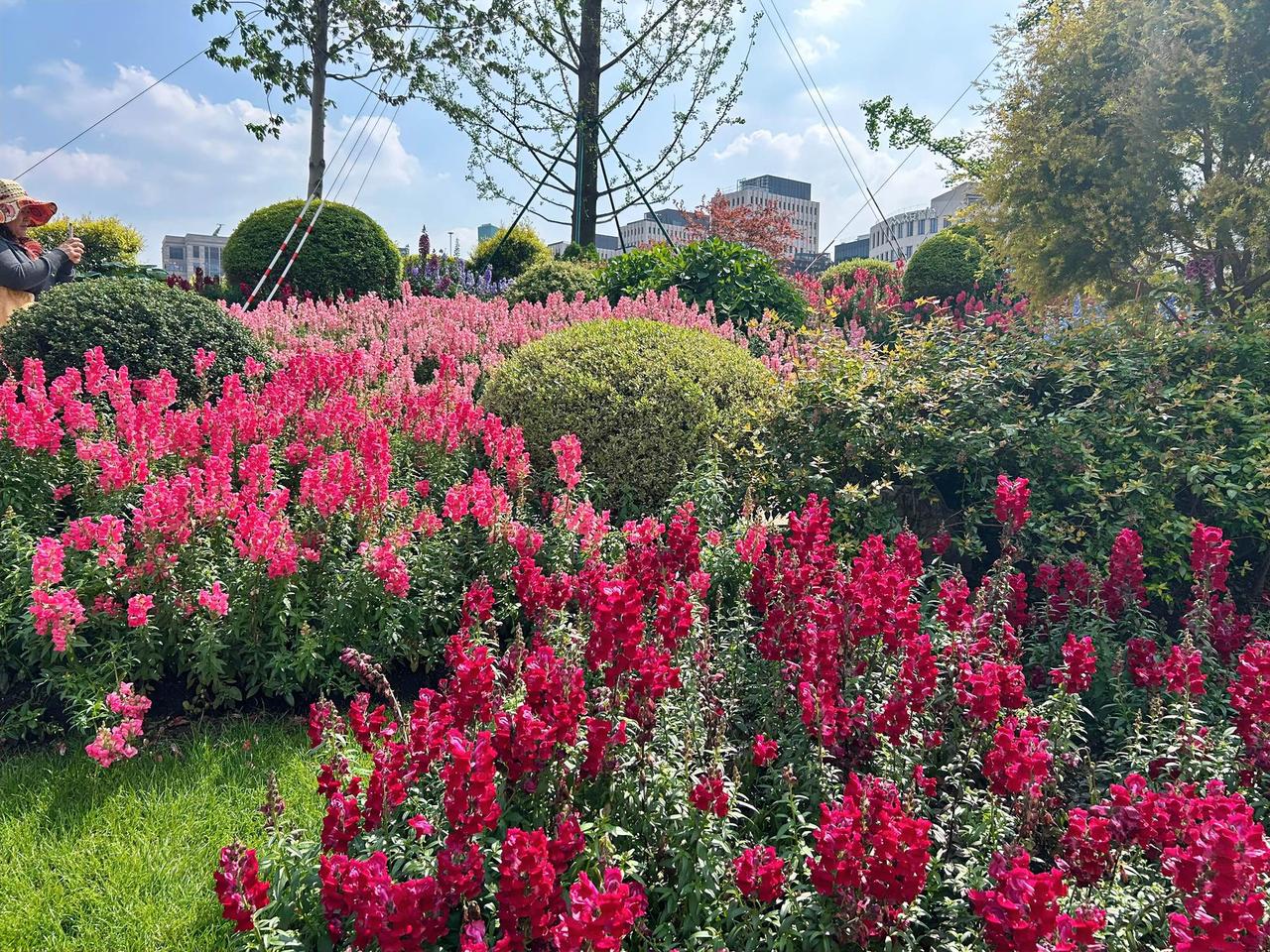走在街头，总能让人见到赏心悦目的花花草草，忍不住驻足细细观赏一番。只要有着美好的