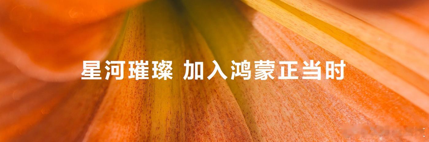 #余承东感谢创造鸿蒙速度的每个人##余承东称加入鸿蒙正当时# 现在鸿蒙在国内的占