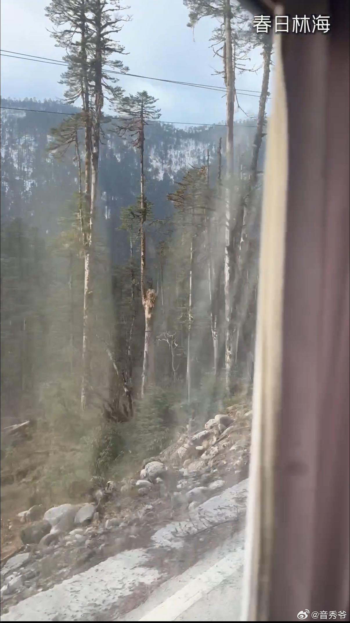 种地吧带你在墨脱一日看四季种地吧 看种地吧被墨脱彻底惊艳，扎墨公路一路从雪山冰川